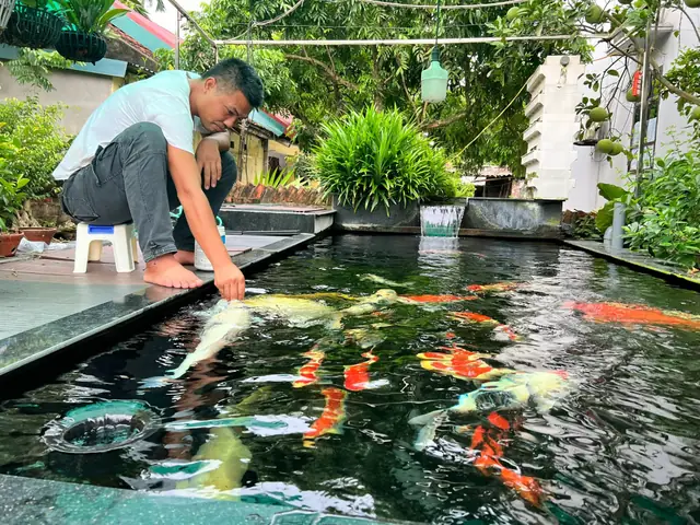Khởi Nghiệp Nuôi Cá