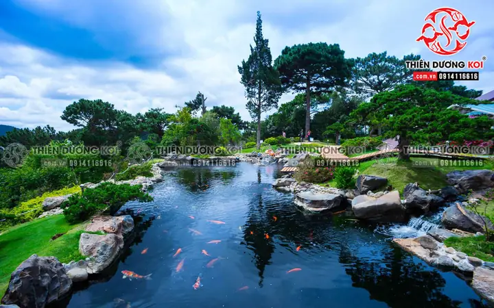 Khu Du Lịch Cá Koi