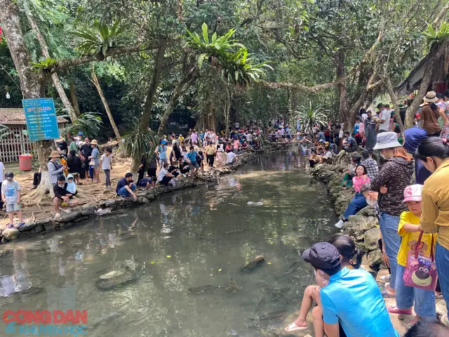 Khu Du Lịch Suối Cá Thần