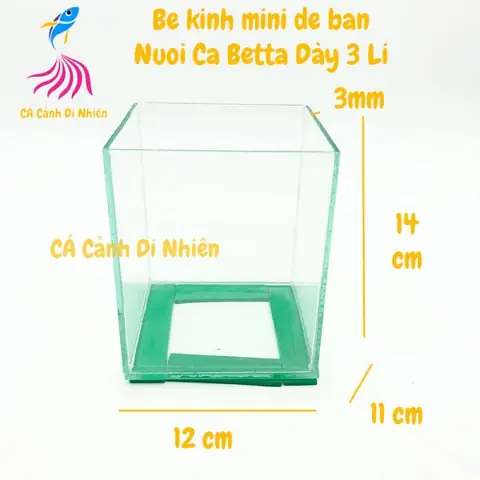 Kích Thước Bể Nuôi Cá Betta