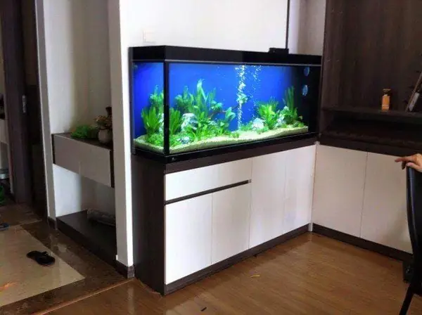 Kích Thước Hồ Cá Cảnh