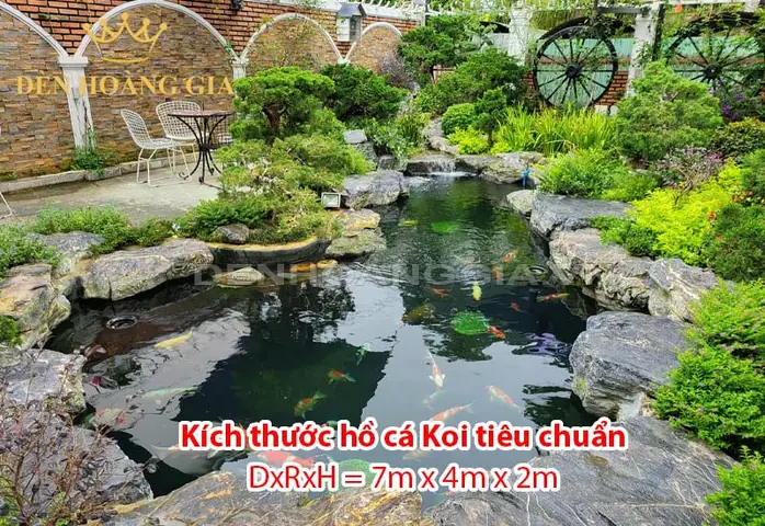Kích Thước Hồ Cá Chuẩn