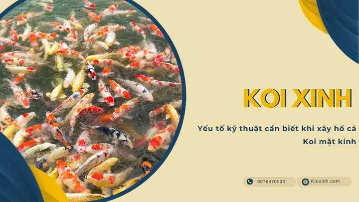 Kỹ Thuật Dán Kính Bể Cá