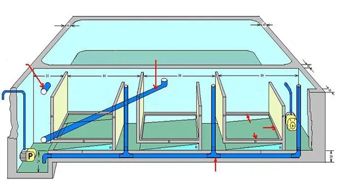 Kỹ Thuật Lọc Nước Hồ Cá Koi