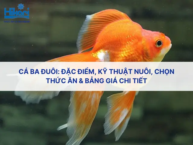 Kỹ Thuật Nuôi Cá Ba Đuôi