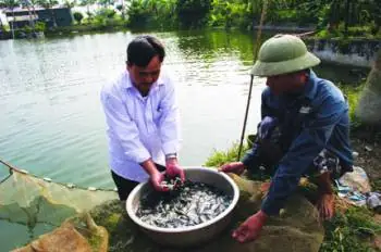 Kỹ Thuật Ương Nuôi Cá Giống