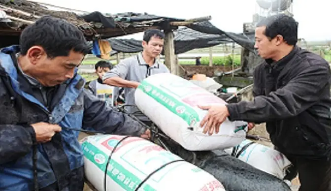 Kỹ Thuật Vận Chuyển Cá Sống