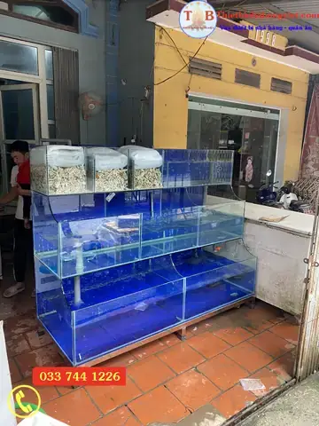 Làm Bể Cá Nhà Hàng