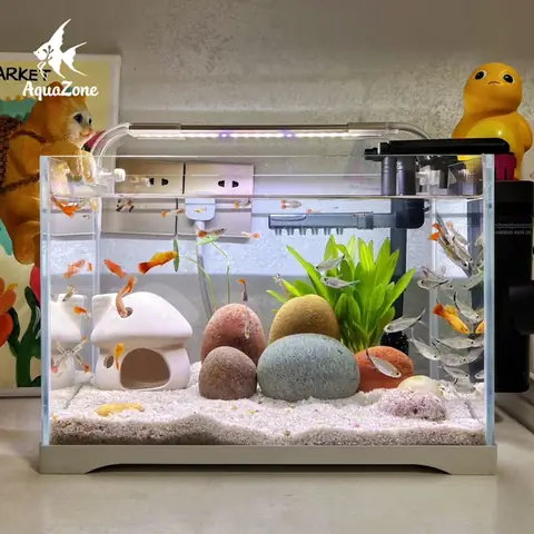 Làm Bể Cá Tại Nhà