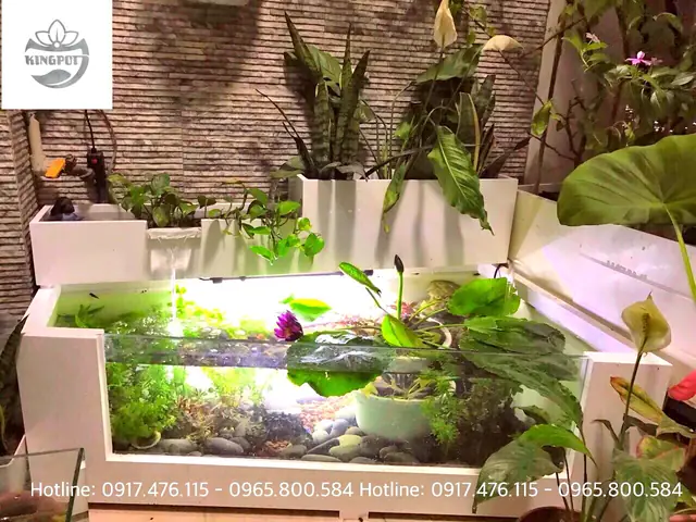 Làm Bể Nuôi Cá
