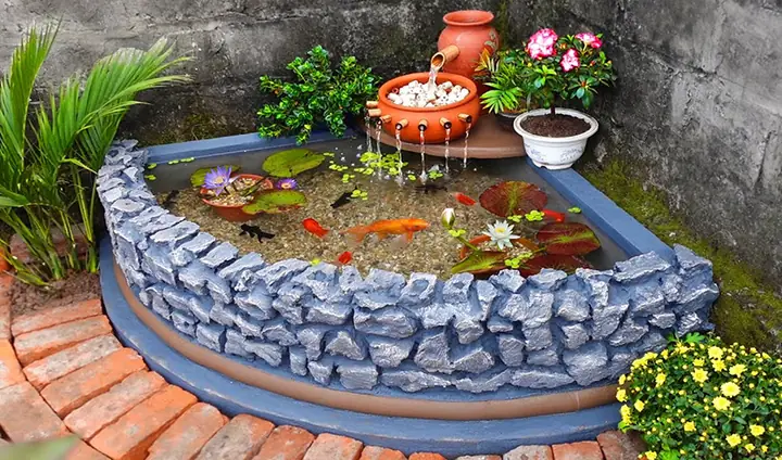 Làm Hồ Cá Đơn Giản Làm Hồ Cá Đơn Giản