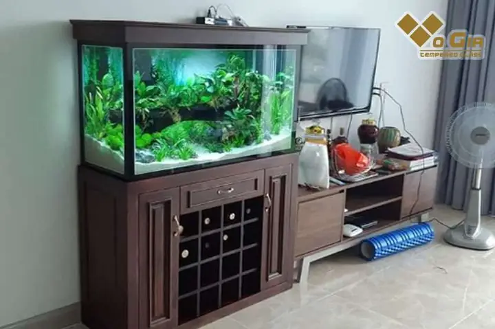 Làm Hồ Cá Tại Đà Nẵng