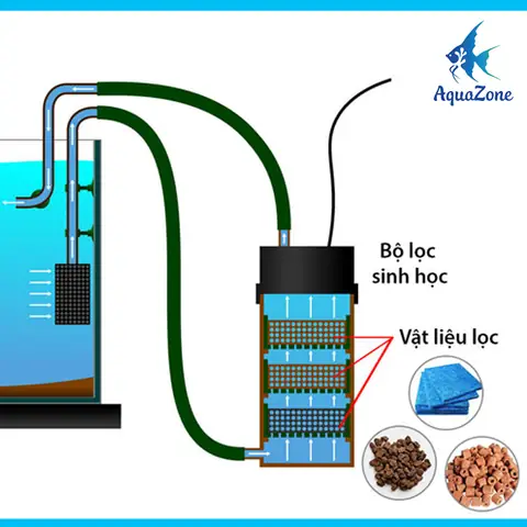 Làm Máy Lọc Nước Cho Bể Cá