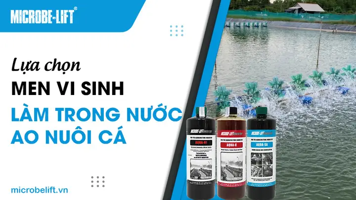 Làm Trong Nước Ao Nuôi Cá
