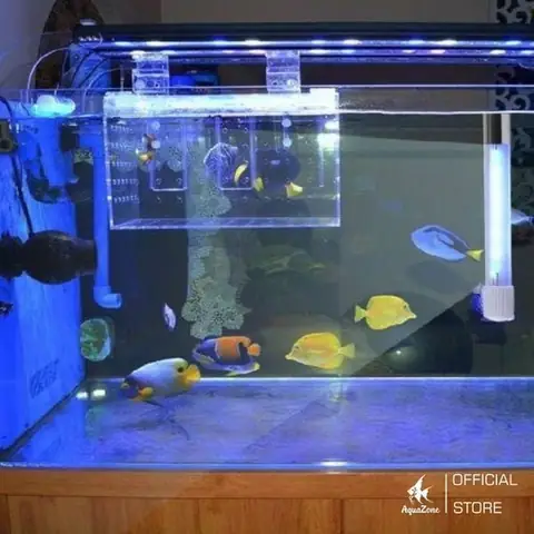 Lắp Đèn Uv Cho Hồ Cá
