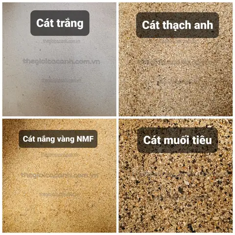 Lọc Cát Hồ Cá