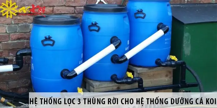 Lọc Hồ Cá Koi Tự Chế