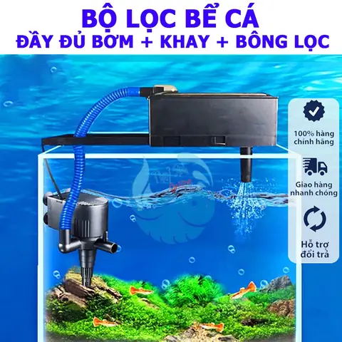 Lọc Nước Bể Cá Cảnh