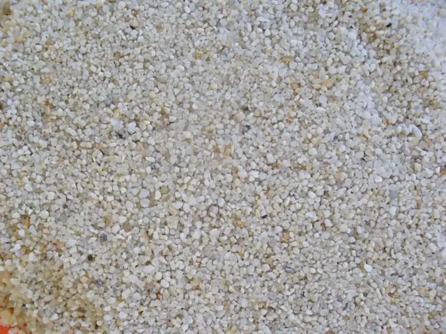 Lọc Nước Hồ Cá Bằng Cát