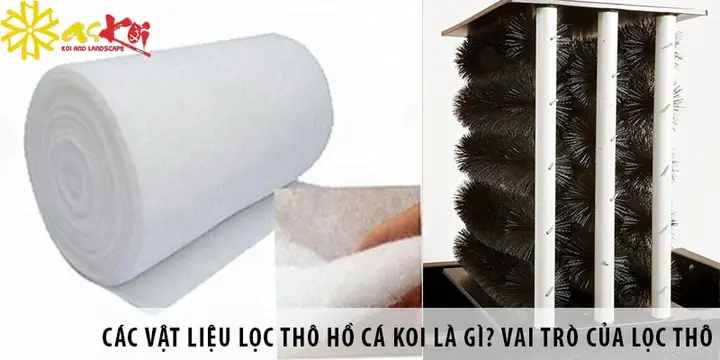 Lọc Thô Hồ Cá Lọc Thô Hồ Cá