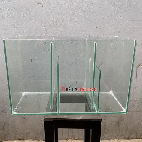 Lọc Tràn Dưới Cho Bể Cá