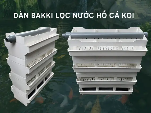 Lọc Tràn Hồ Cá Koi