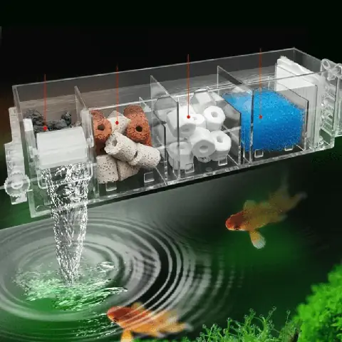 Lọc Trong Bể Cá