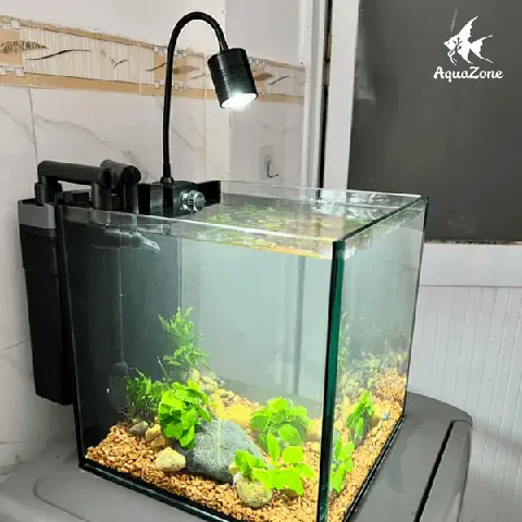 Lọc Trong Hồ Cá
