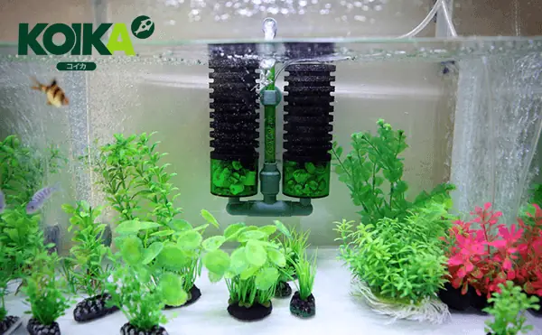 Lọc Vi Sinh Cho Bể Cá