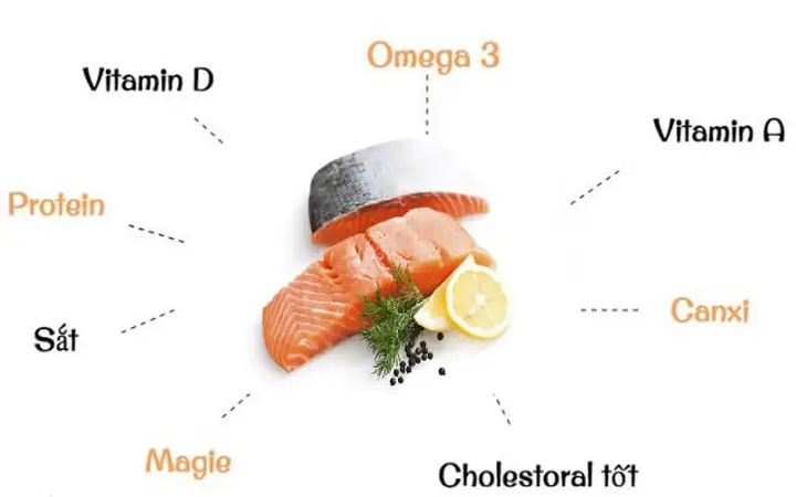 Lợi Ích Của Cá