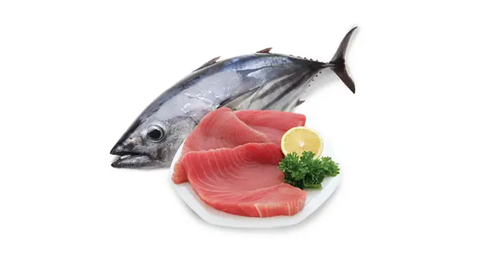 Lợi Ích Của Cá Ngừ