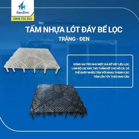 Lót Đáy Bể Cá