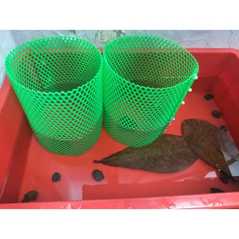 Lưới Đẻ Cho Cá 7 Màu