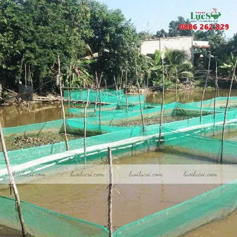 Lưới Rào Ao Nuôi Cá