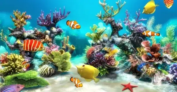Màn Hình Chờ Bể Cá 3d