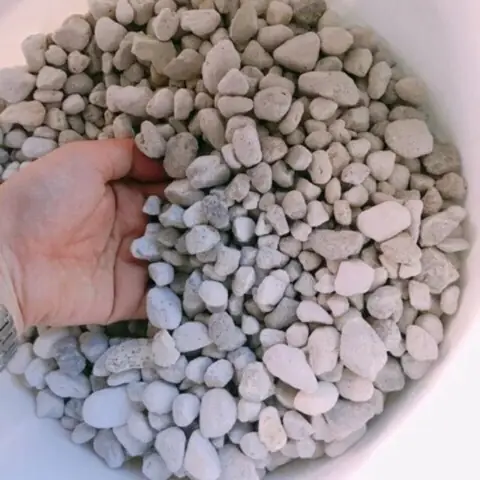 Matrix Lọc Hồ Cá