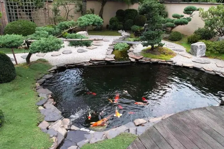 Mẫu Ao Cá Đẹp