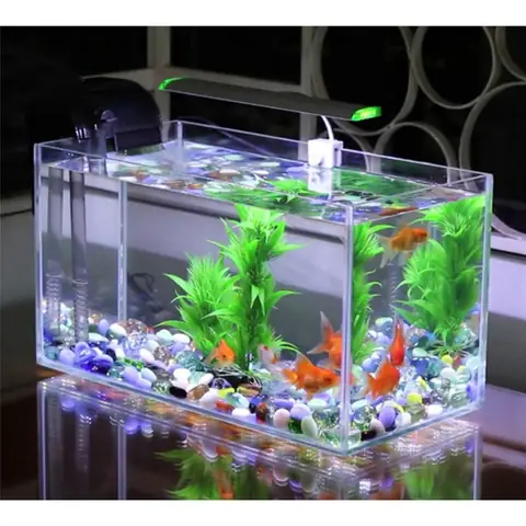 Mẫu Bể Cá Nhỏ Đẹp