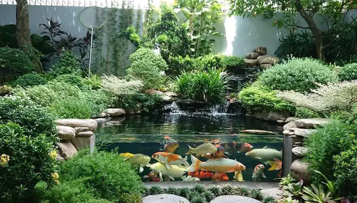 Mẫu Bể Cá Xây Đẹp