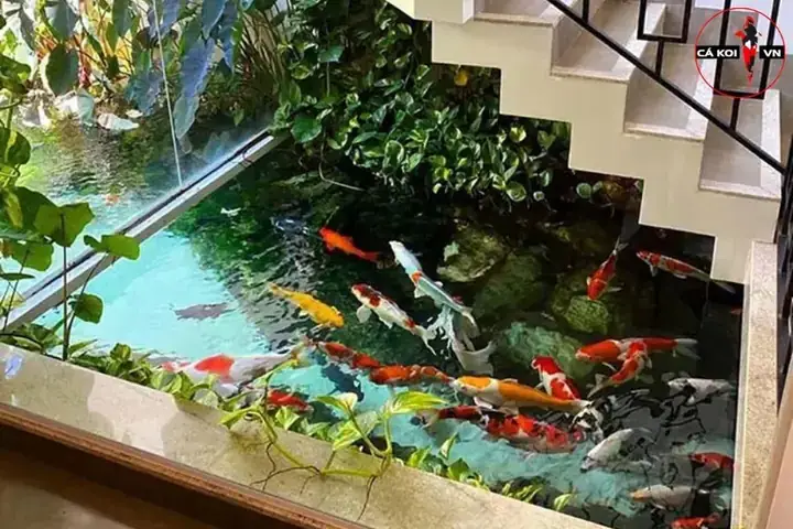 Mẫu Thiết Kế Bể Cá Dưới Gầm Cầu Thang