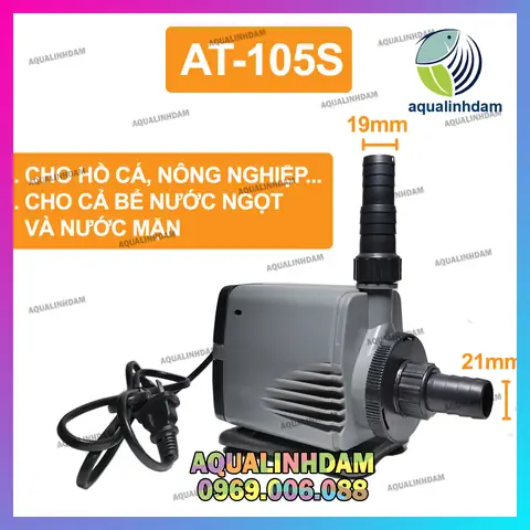 Máy Bơm Bể Cá Rồng
