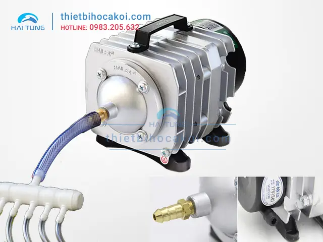 Máy Bơm Hồ Cá 60w
