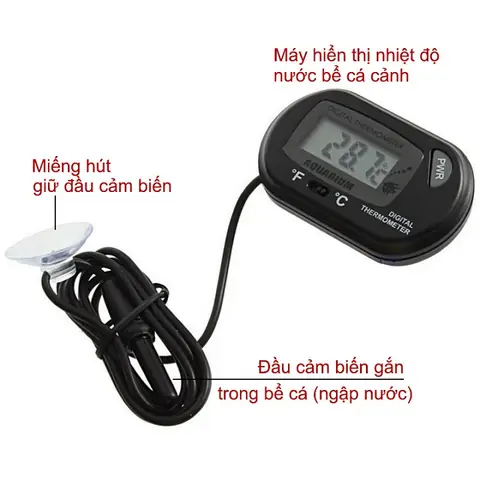 Máy Đo Nhiệt Độ Bể Cá