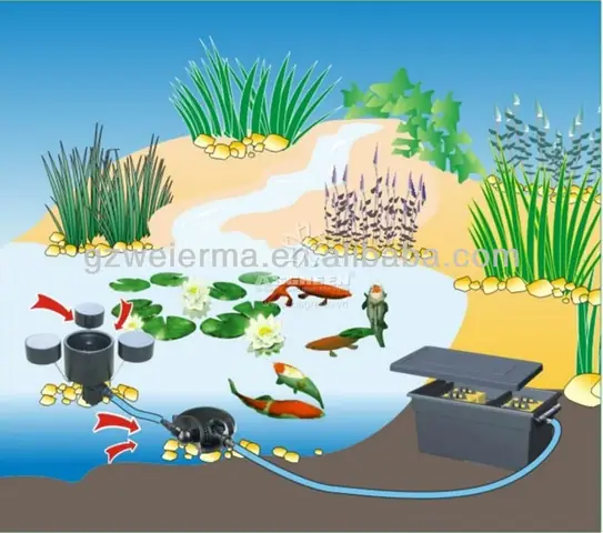 Máy Lọc Hồ Cá Ngoài Trời