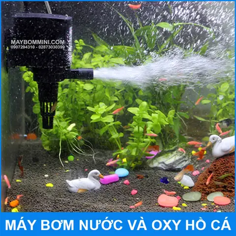 Máy Lọc Nước Oxy Hồ Cá