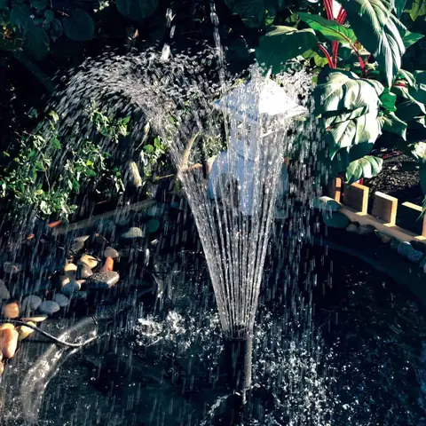 Máy Phun Nước Hồ Cá