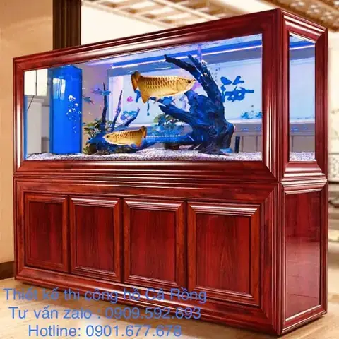Mệnh Mộc Nuôi Cá Rồng Màu Gì