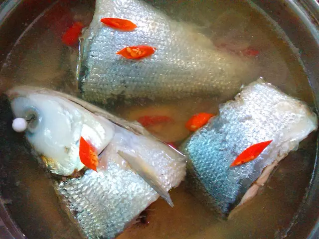 Milkfish Là Cá Gì