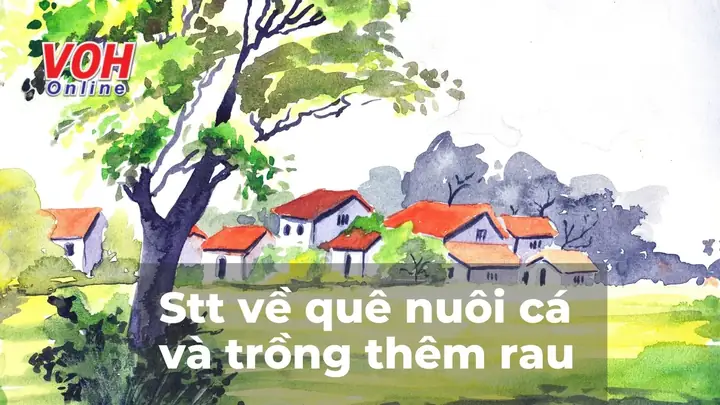 Mình Về Quê Trồng Rau Nuôi Cá