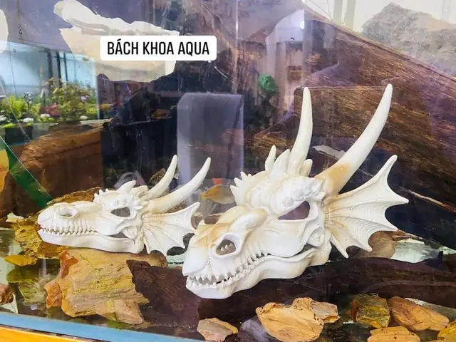 Mô Hình Bể Cá Cảnh Mô Hình Bể Cá Cảnh